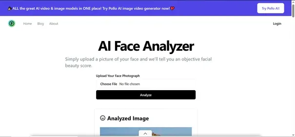 AI Face Analyzer Online preview